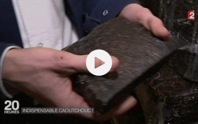 Caoutchouc : un matériau stratégique