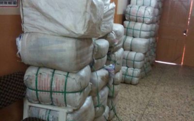 Okomu – World Malaria Day