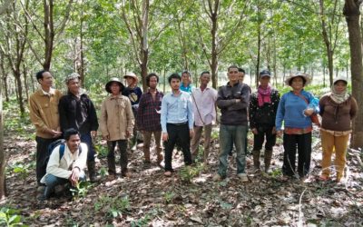 Socfin Cambodia’s technical department conducted a training for smallholders