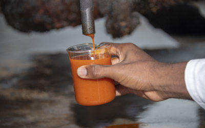 Tight palm oil supplies to support prices in 2024: MPOB